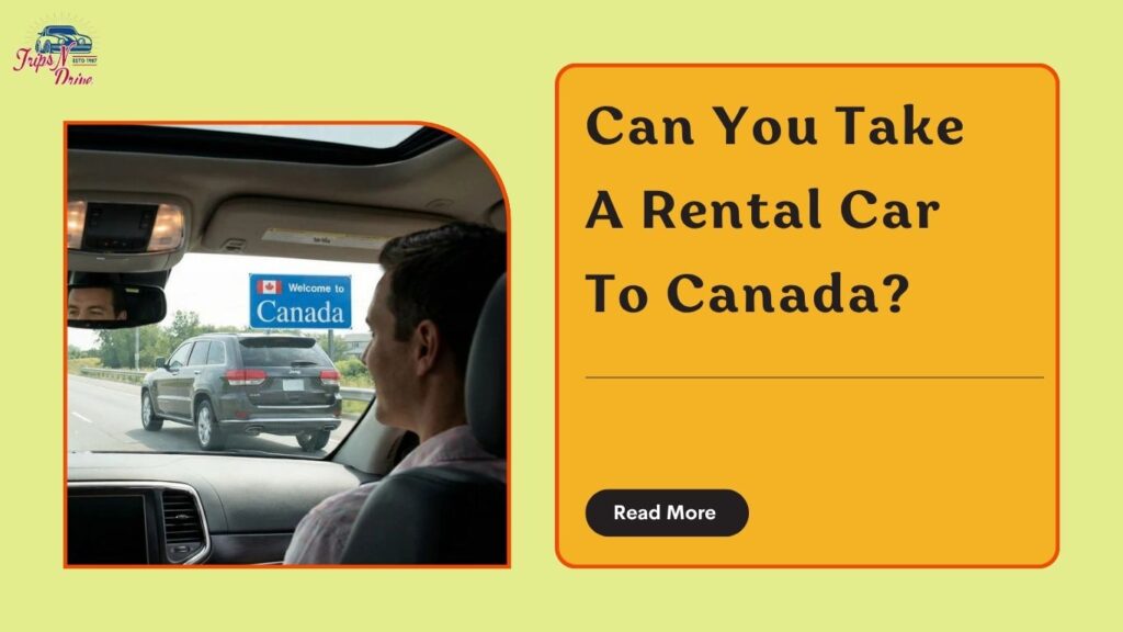 Can you take a rental car to canada
