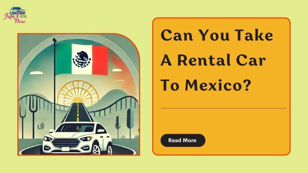 Can you take a rental car to mexico