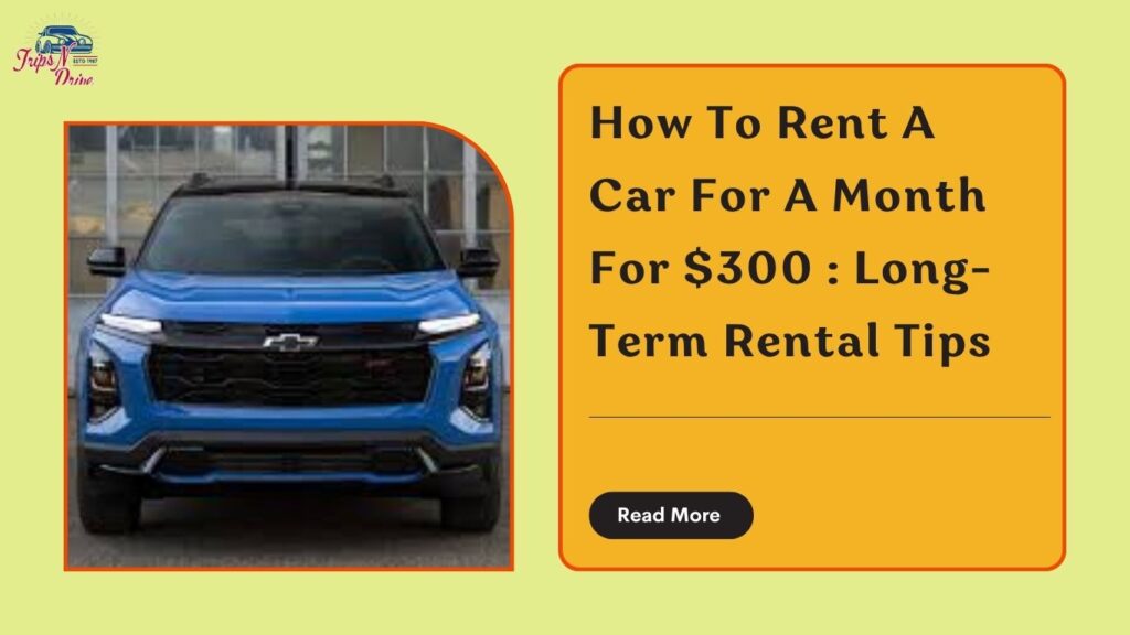 Rent a car for a month for 300